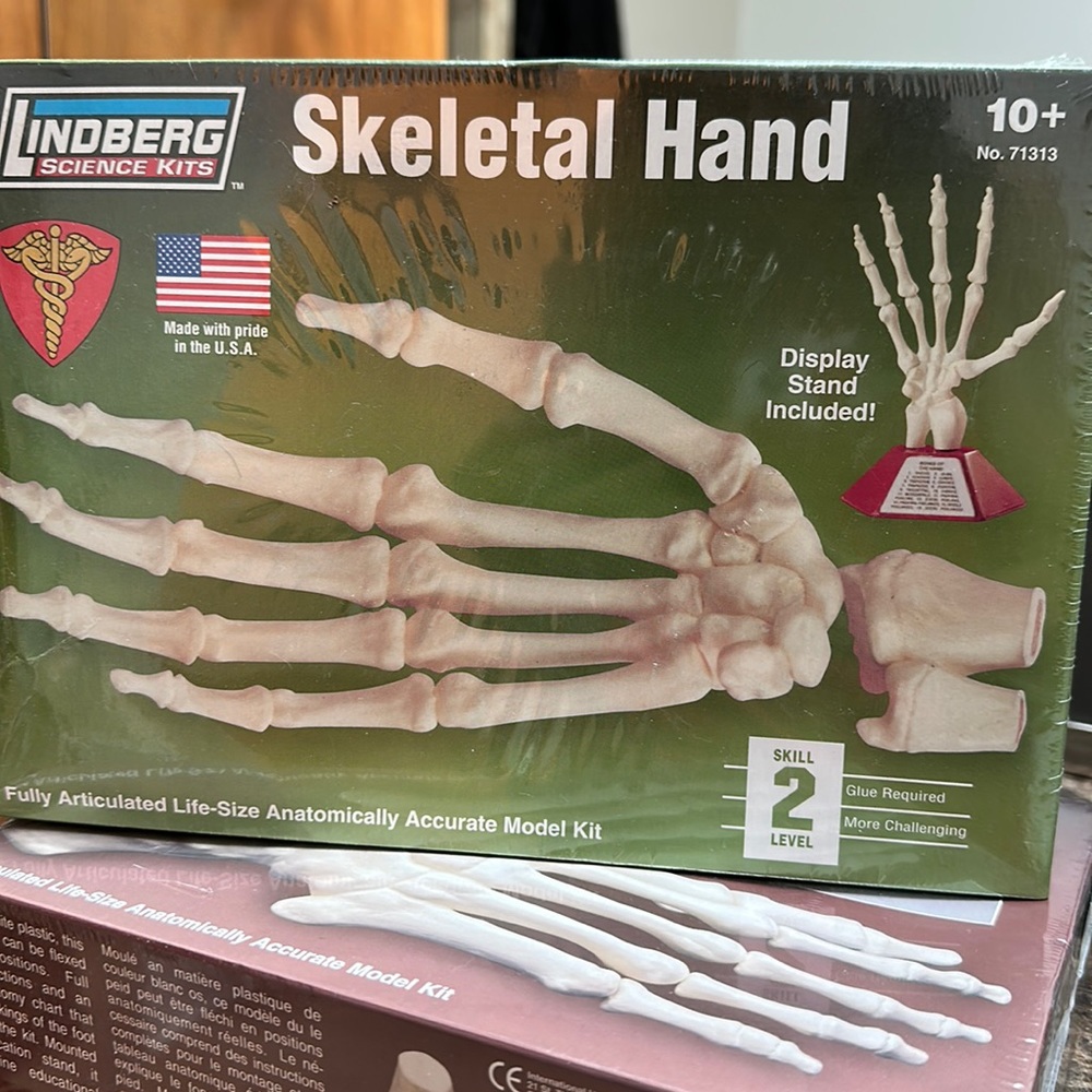 Lindberg Science Kits Skeletal Hand with display stand